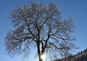 Panorami con le prime nevi da Miragolo S. Salvatore di Zogno il 3 dicenmbre 2020- FOTOGALLERY